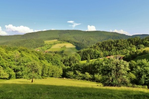 Blick von der Wiese übers Tal
